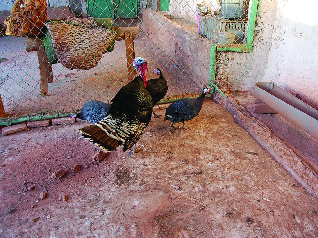 Gite Souss Oulad Teïma Buitenkant foto