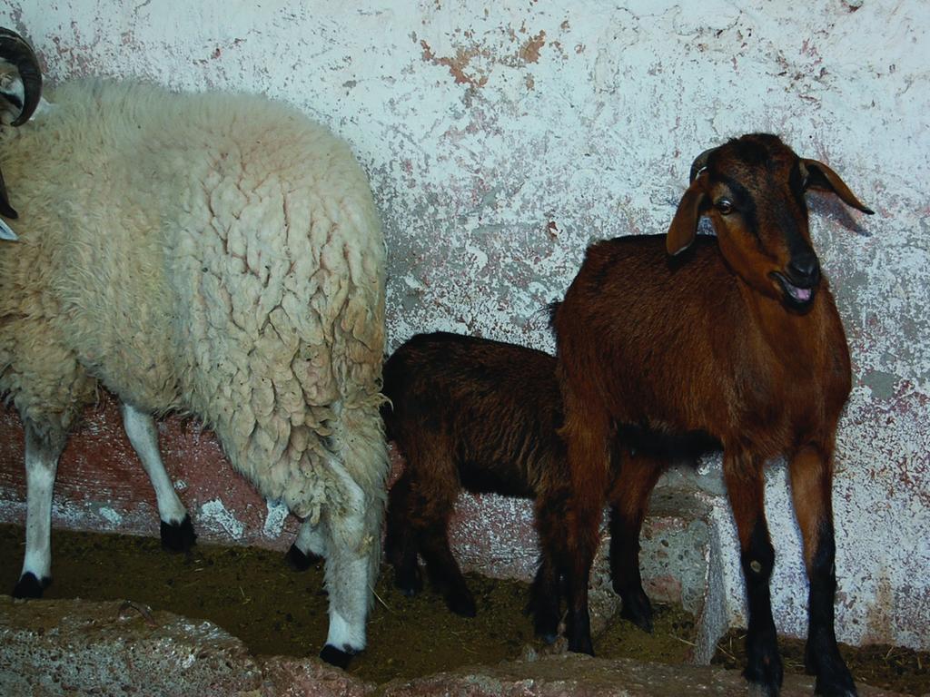 Gite Souss Oulad Teïma Buitenkant foto