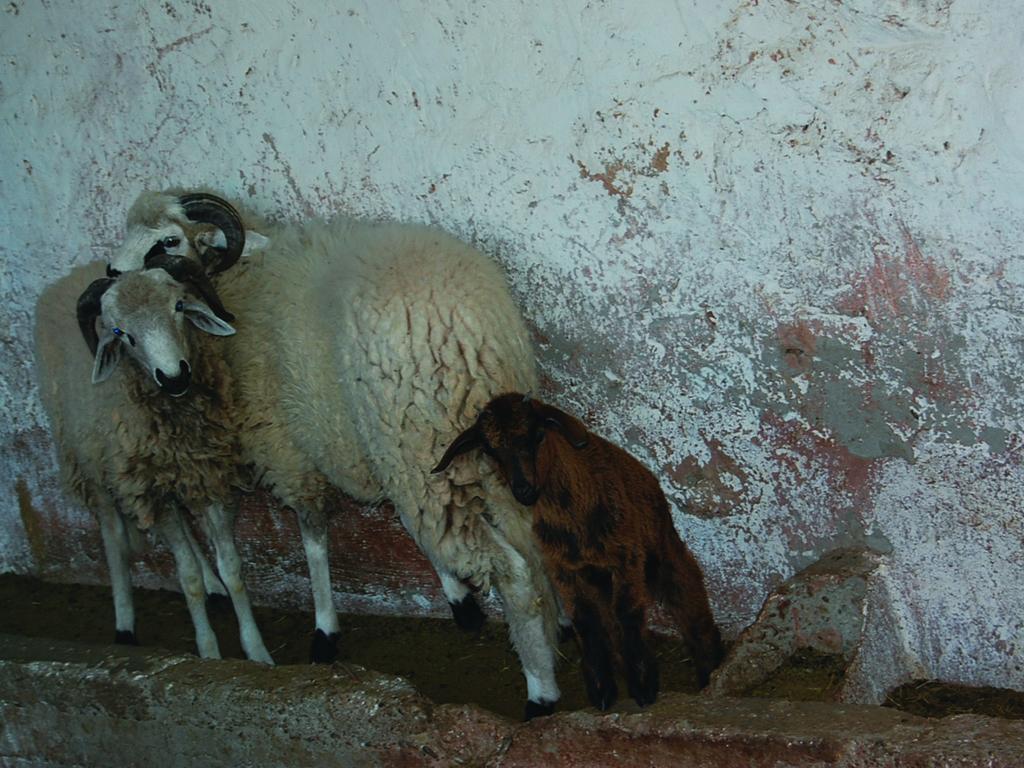 Gite Souss Oulad Teïma Buitenkant foto