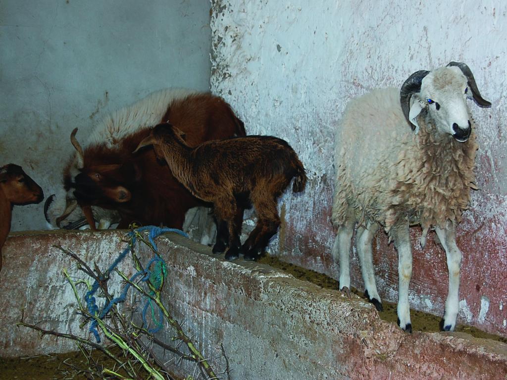 Gite Souss Oulad Teïma Buitenkant foto